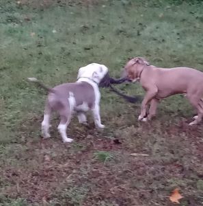 Meet your Posher, Harry